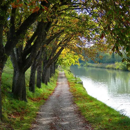 Maison Eglantine Historic 4 Star With Air Conditioning Apartament Carcassonne