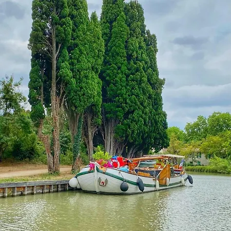 Maison Eglantine Historic 4 Star With Air Conditioning Apartament Carcassonne